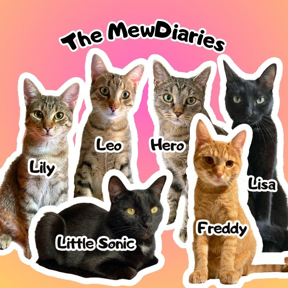 The MewDiaries - Life with 6 rescue cats