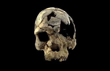 06-11-03: 160,000-year-old skulls are oldest anatomically modern humans