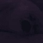 8 Sunny Places To Escape To This Month! Tabs, Mon., Feb. 5, 2024