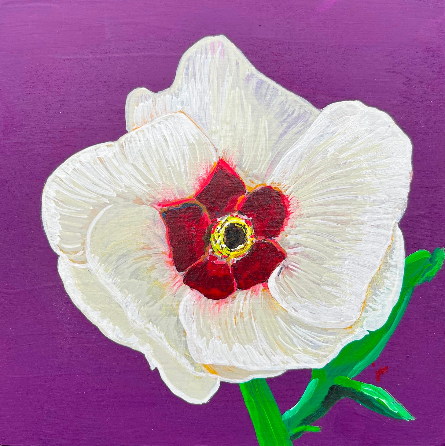 Okra flower. White with red and gold center with bright green stem. Painted over a solid purple background.