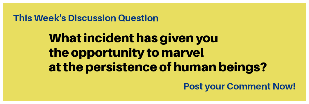 This week's discussion question is: "What incident has given you the opportunity to marvel at the persistence of human beings?" This week's discussion question is: "What incident has given you the opportunity to marvel at the persistence of human beings?"