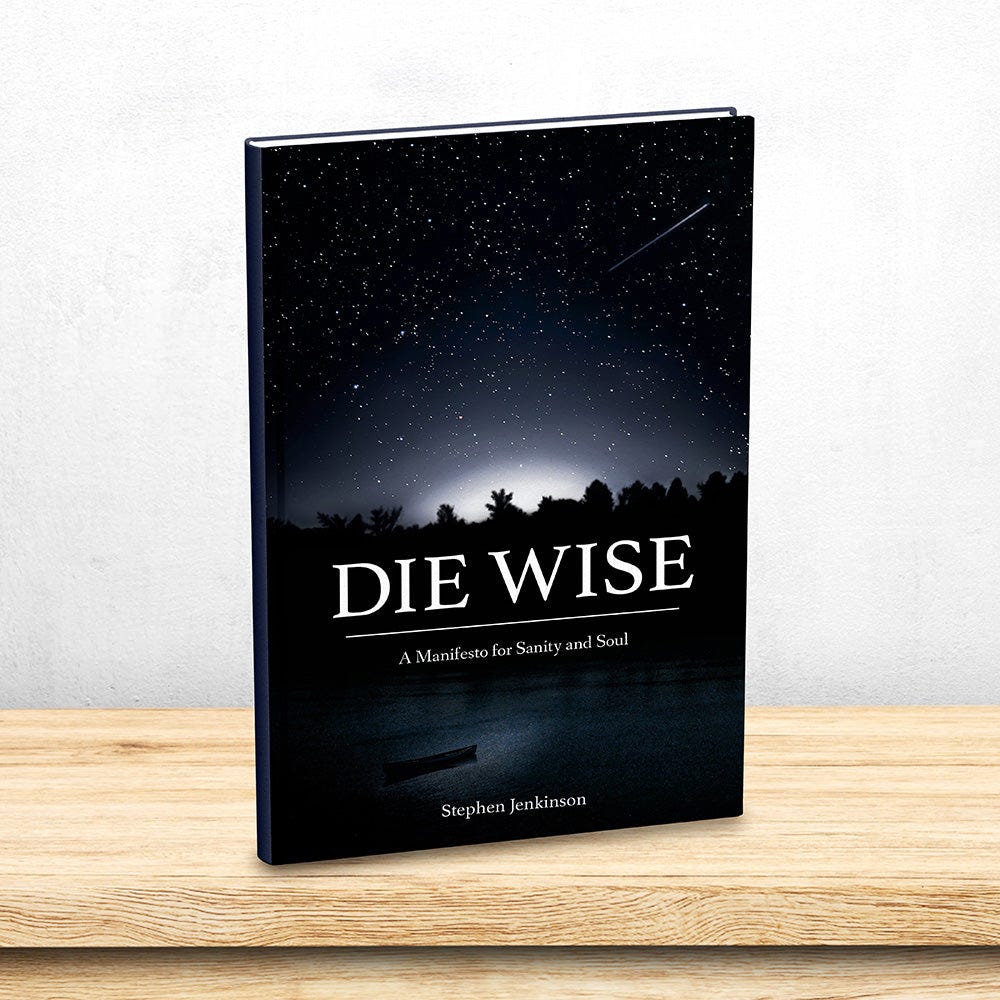 The cover of Die Wise by Stephen Jenkinson on a shelf. The cover of Die Wise by Stephen Jenkinson on a shelf.