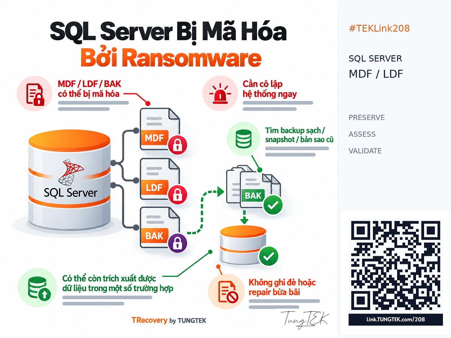 SQL Server MDF/LDF: bảo toàn nguồn và đánh giá khả năng trích xuất; QRTEK208 và chữ ký gốc.