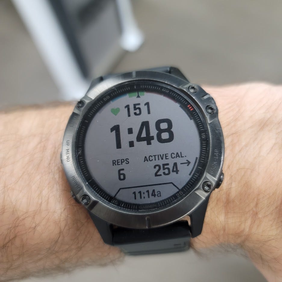 Garmin Fenix 6S
