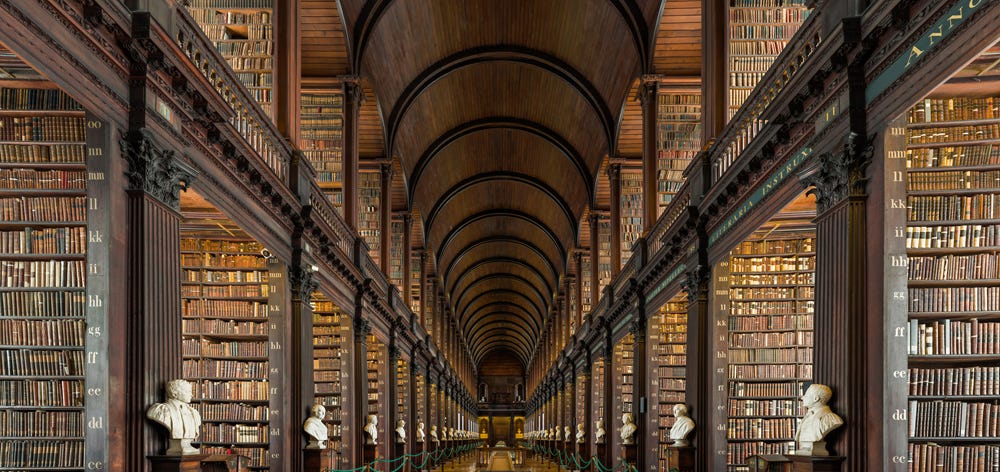 The Library Is Not The Enemy But The Equalizer
