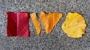 インディーウェブ通信