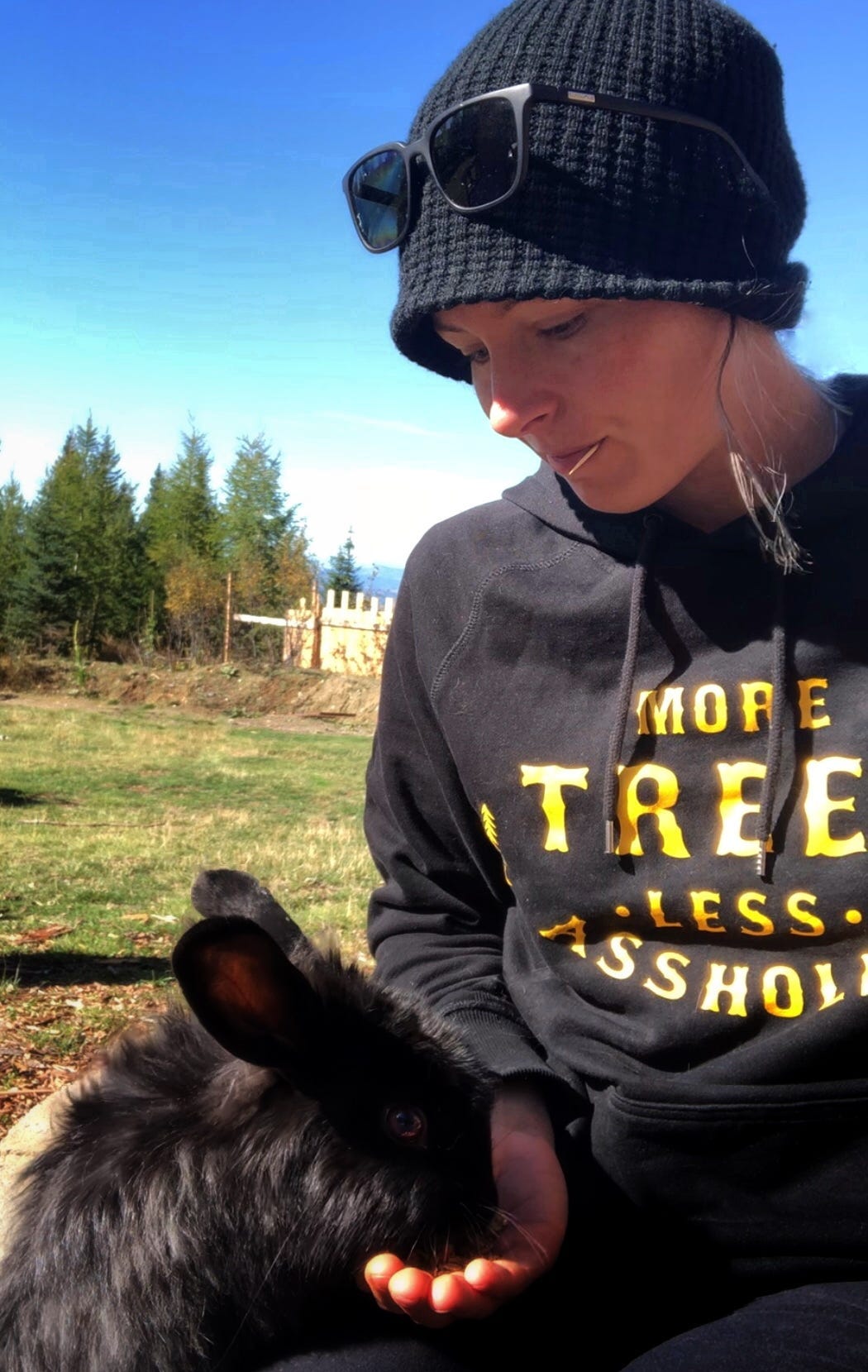 Stay Real Rabbit The 6 Things I Wish I Knew About Rabbits