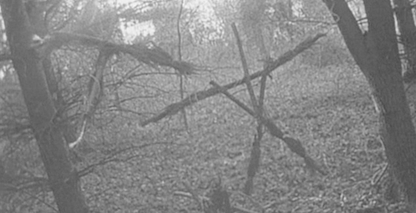 The Blair Witch Project (1999) - CreepyShake.com