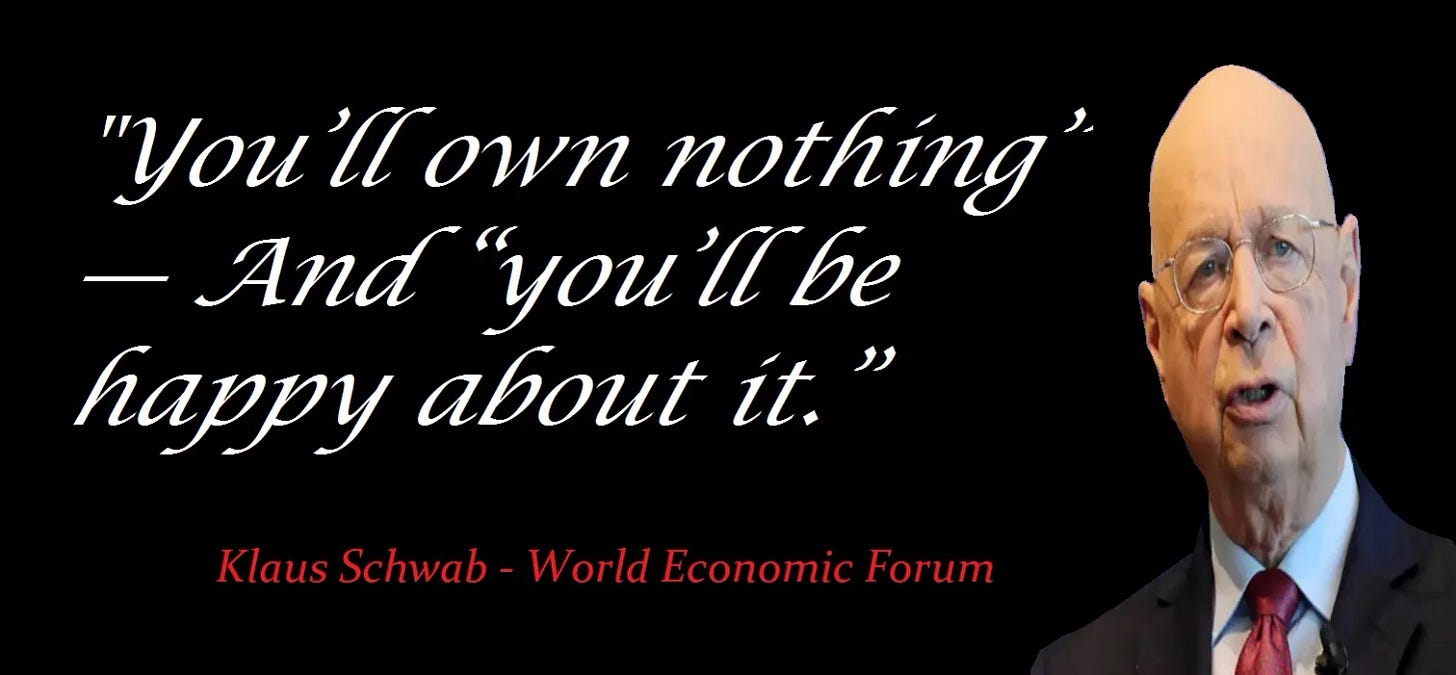 Schwab you own nothing