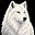 Arctic's avatar