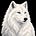 Arctic's avatar