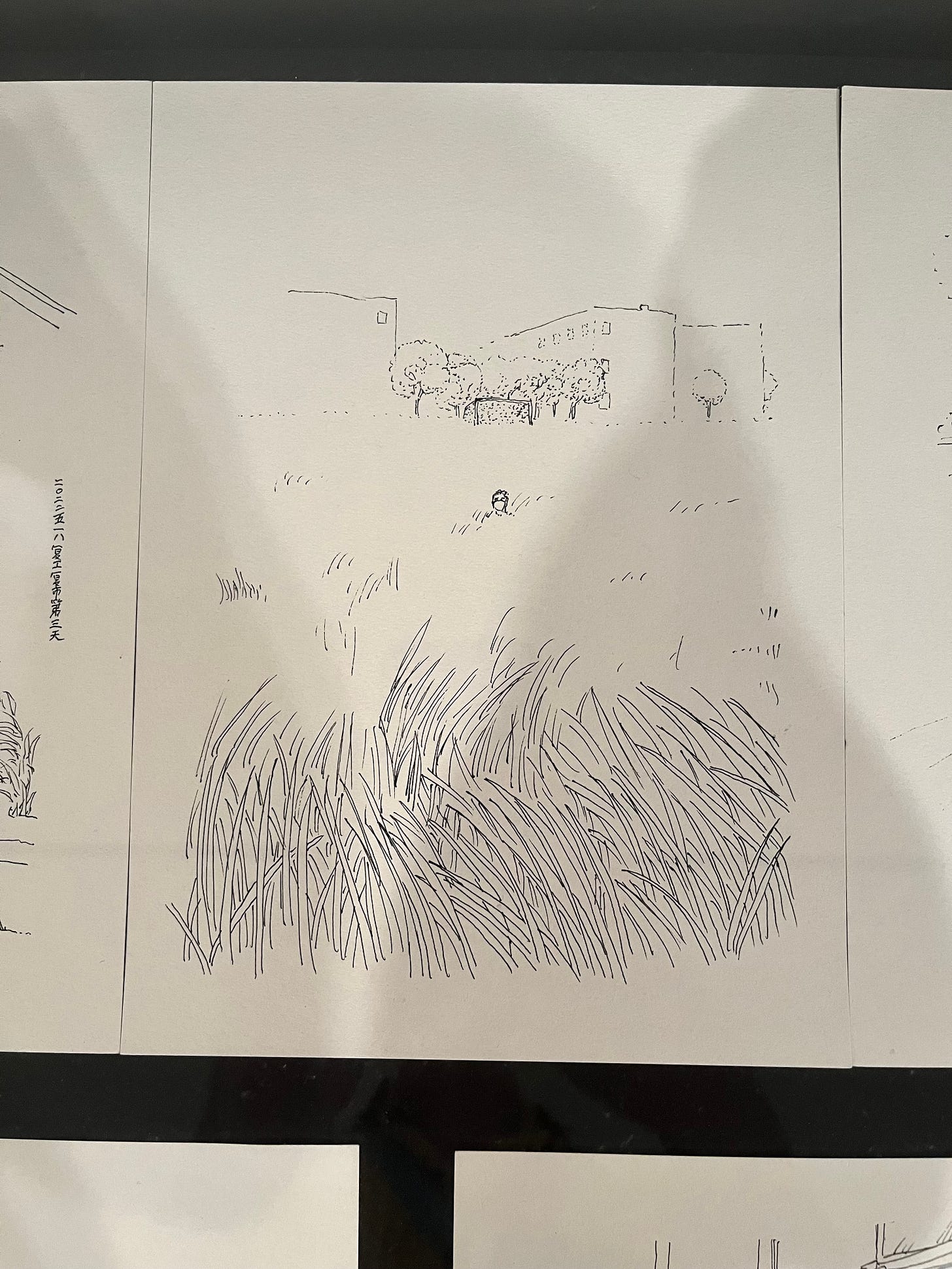 A photo of a line drawing featuring some detailed grass in the foreground, a lot of empty space and a small figure in the middle of the page. There are some buildings in the background. The line work is sparse and minimal. A photo of a line drawing featuring some detailed grass in the foreground, a lot of empty space and a small figure in the middle of the page. There are some buildings in the background. The line work is sparse and minimal.