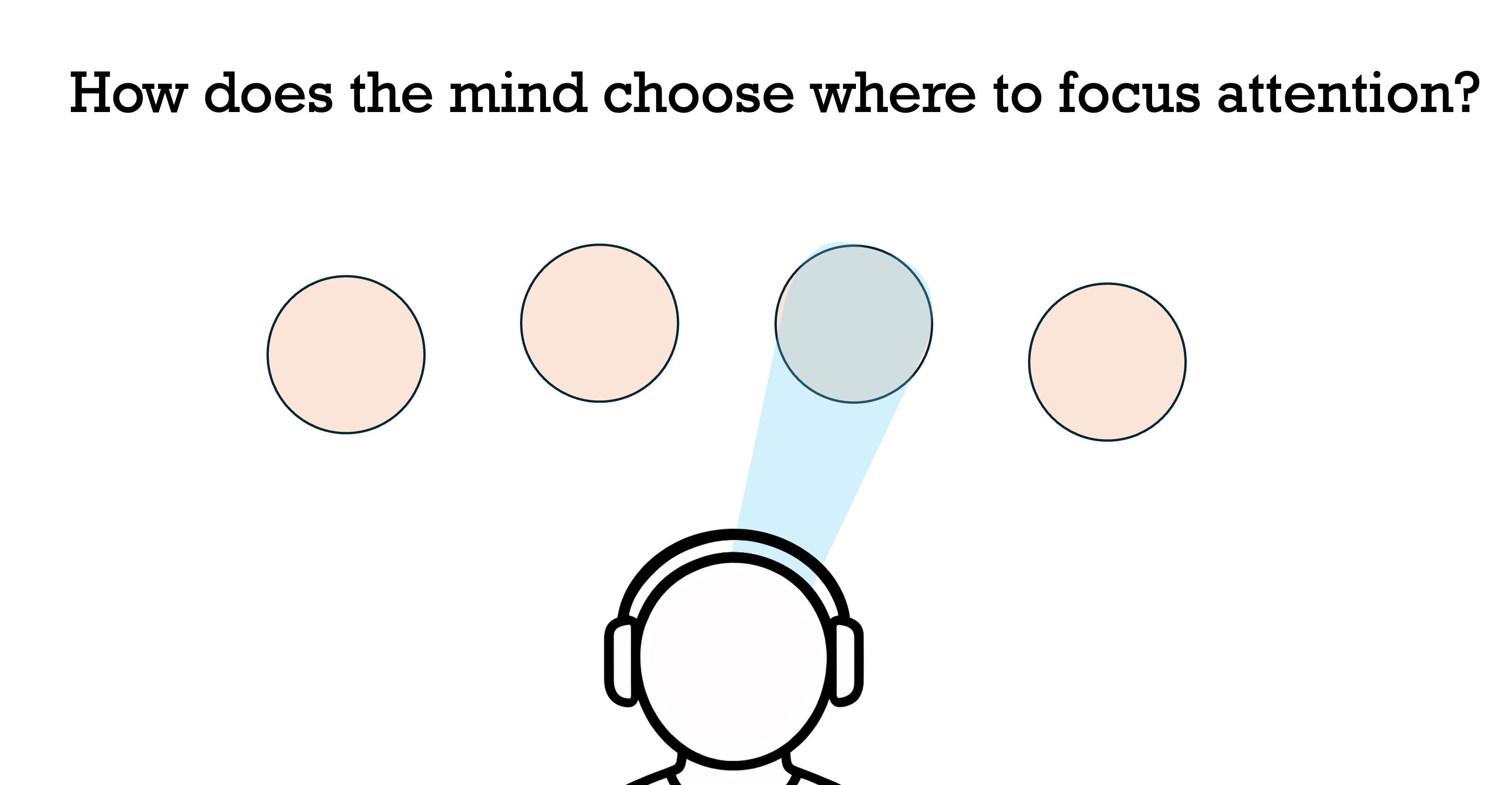 The Science of Attention (Video + Text) - by Lee LeFever