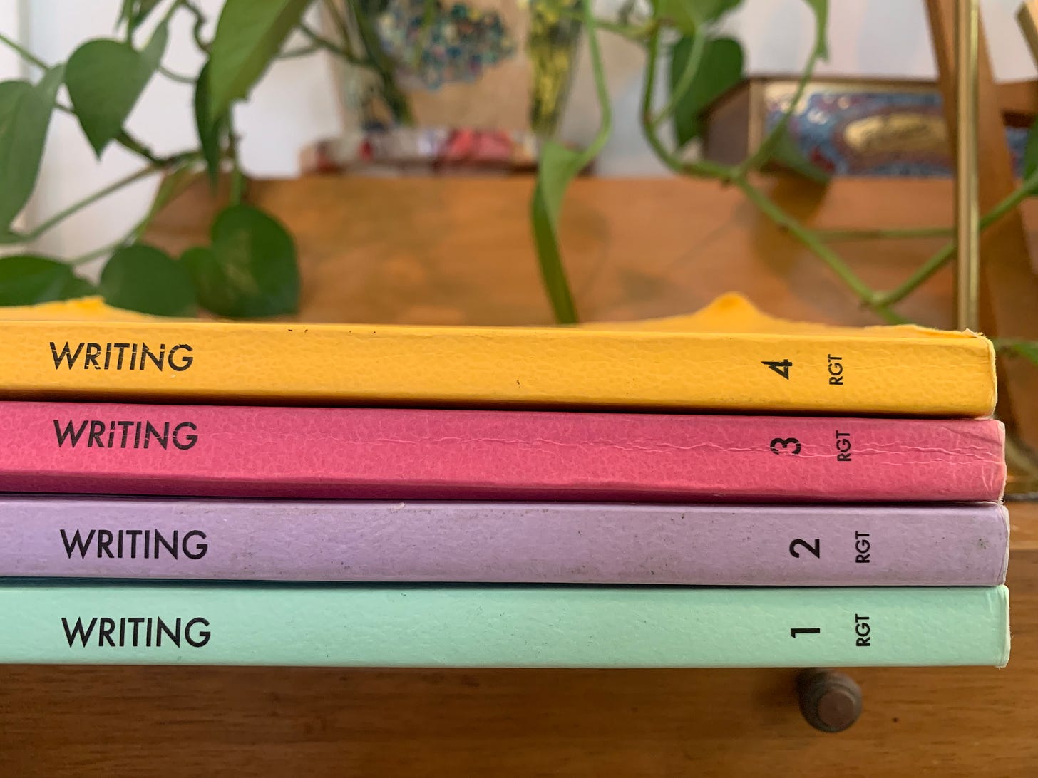 A close up photo of four, brightly colored journals, each one with the word “writing” printed along the side.  They are numbered one through four with the initials RGT printed below. Behind them, green leaves spilling out of a pot. 
