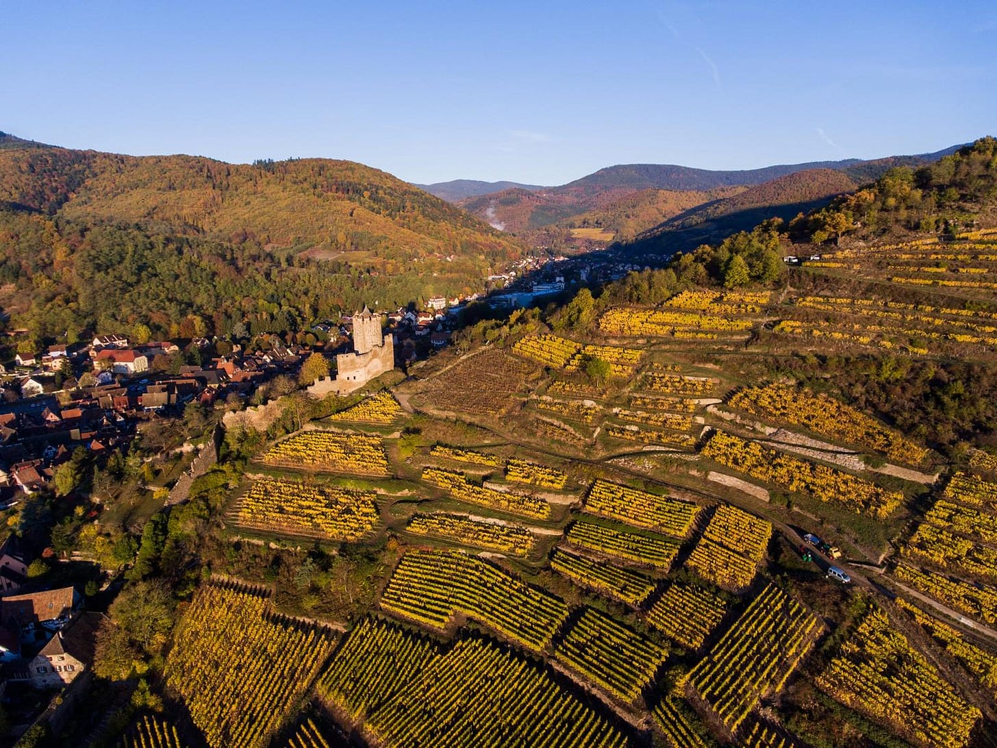 Alsace | SevenFifty Daily Alsace | SevenFifty Daily