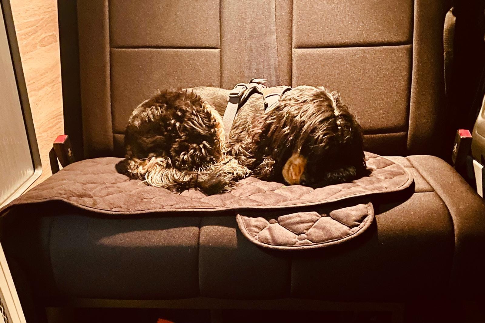 Maiden voyage goes down the pan - by David Mill