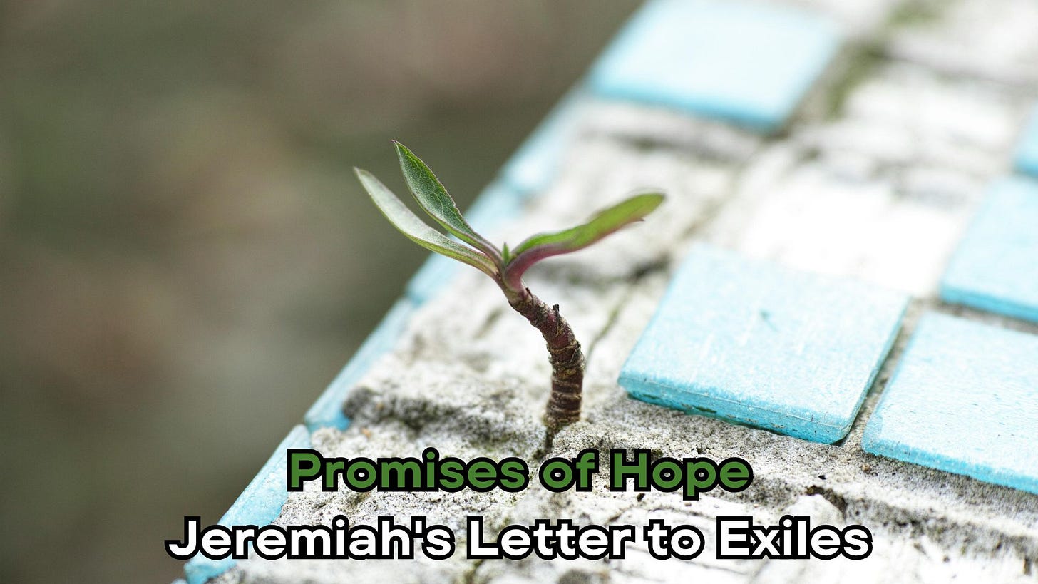 A small sprout with green leaves emerges from a crack in a weathered, tiled surface. It includes the text: "Promises of Hope: Jeremiah's Letter to Exiles"