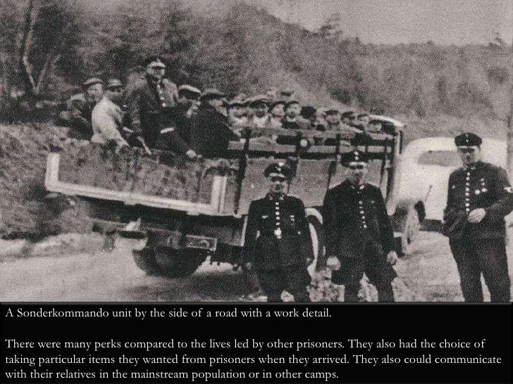 Reliably Unreliable? The Sonderkommando Eyewitness Testimony to The Holocaust