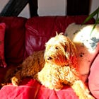 The Best Thing About Local Coworking? Everything on Your Doorstep, with Melissa Richards