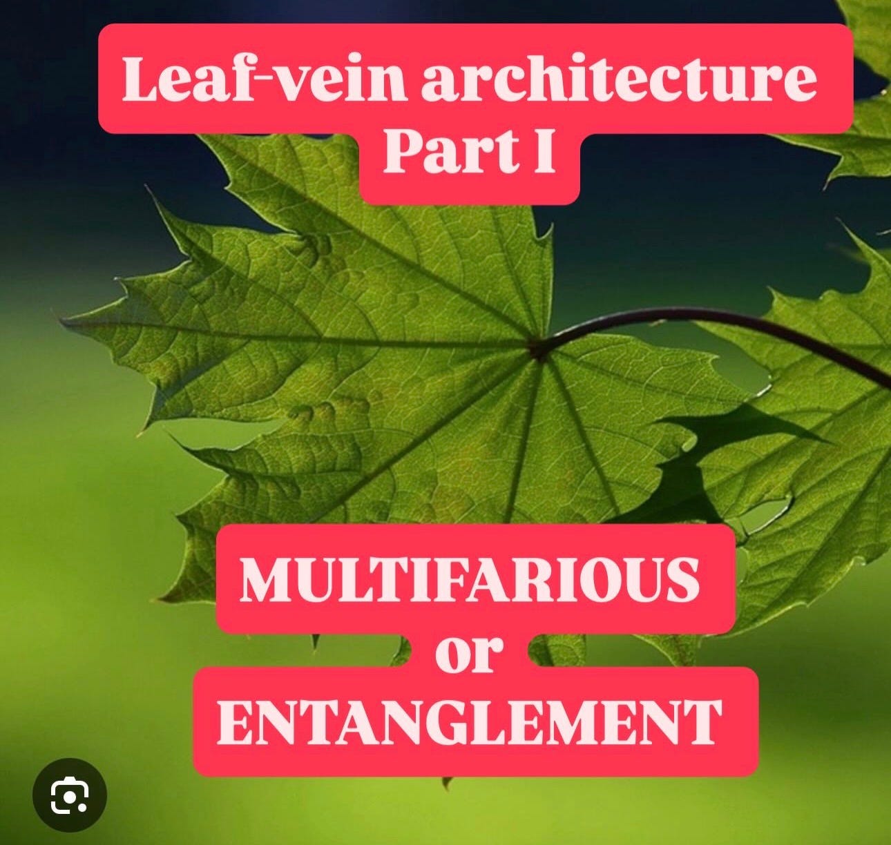A close up of a leaf
AI-generated content may be incorrect. A close up of a leaf
AI-generated content may be incorrect.