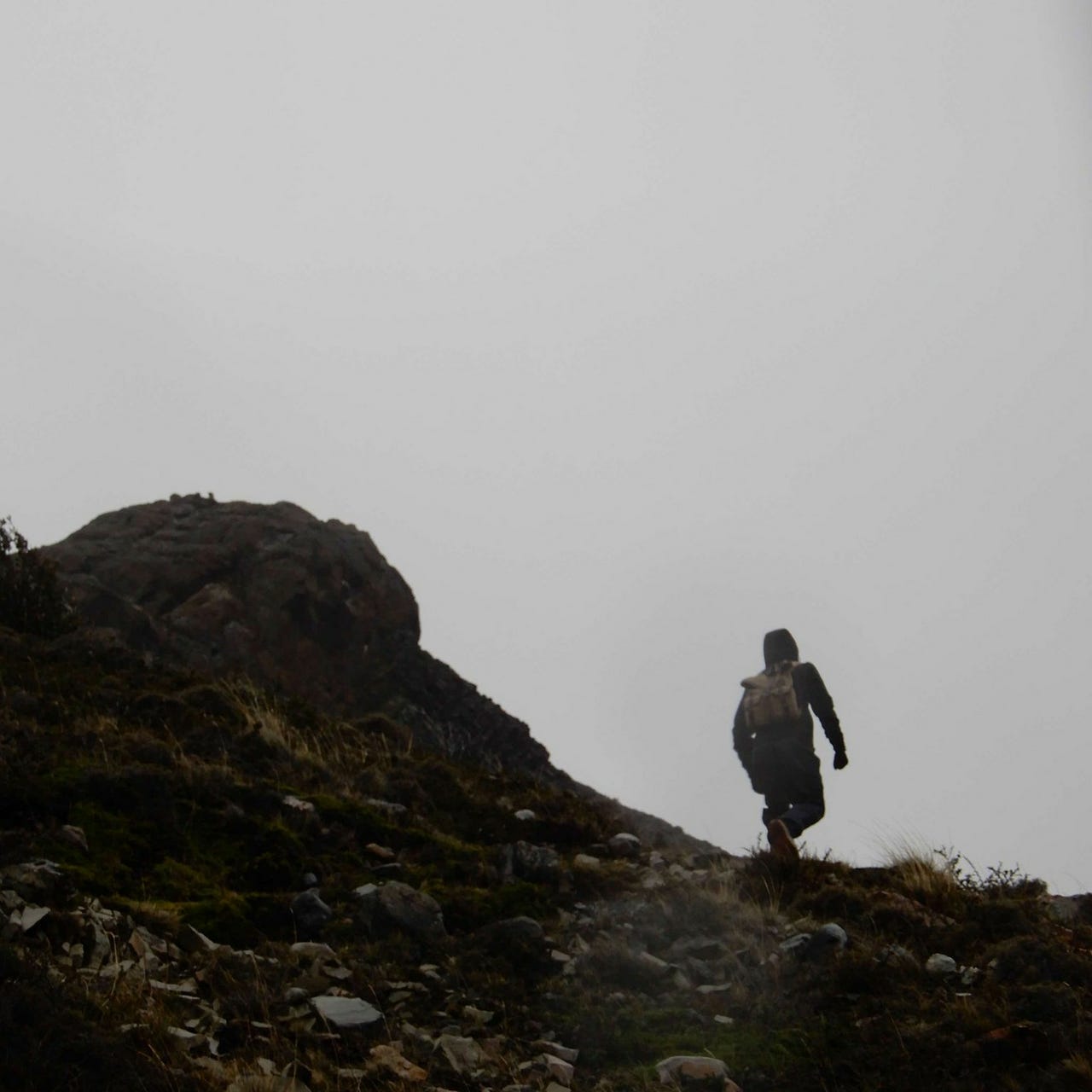 Maxwell’s Substack