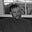 Eric Nolle's avatar