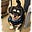 Keith Murphy's avatar