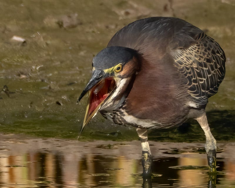 20251103-ElRio-307-Edit 2.jpg