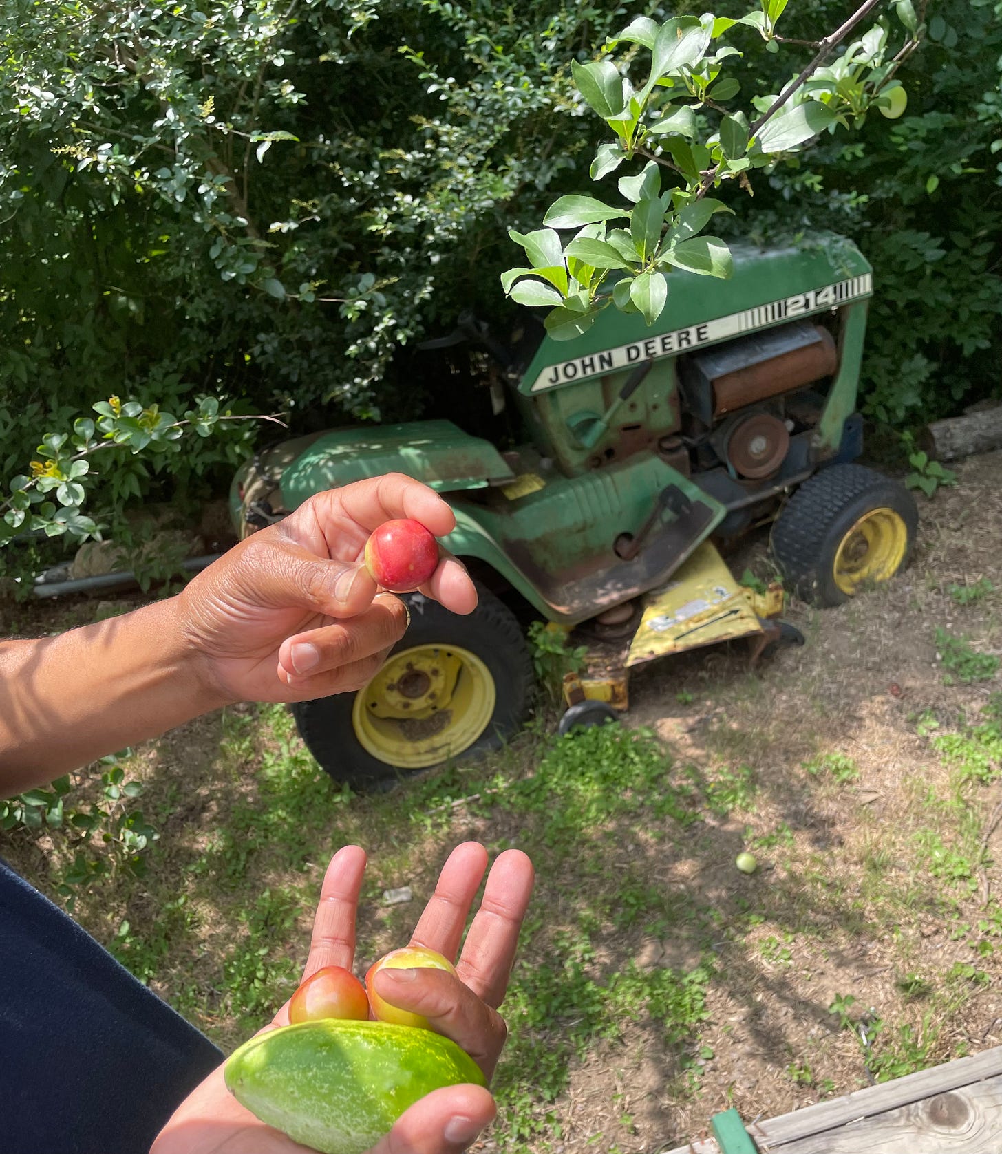 Farmer Brown holds various vegetables. 