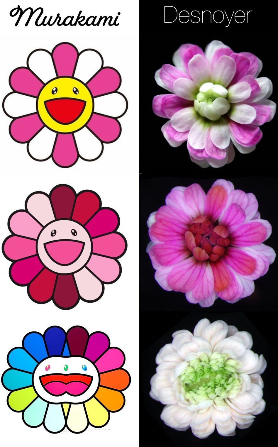 The Flower Designer - by Niko McCarty - Asimov Press