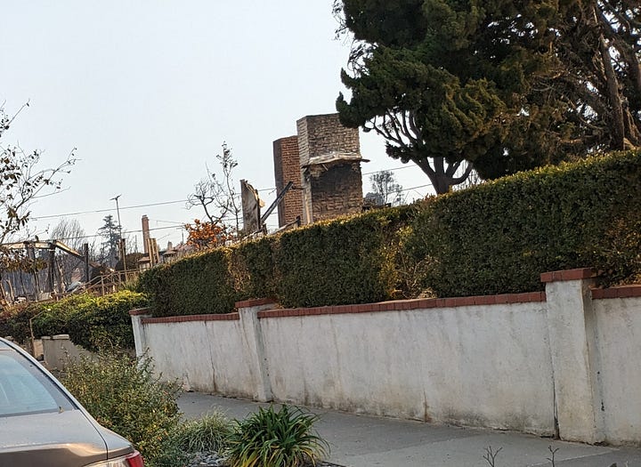 trees burned by houses