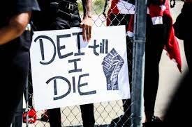 Student protest calls for university action against anti-DEI legislation |  News | theshorthorn.com