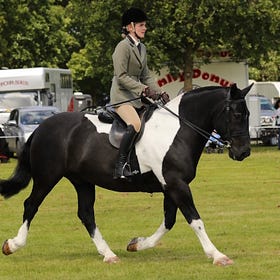 Looking forward to Lurgan Show