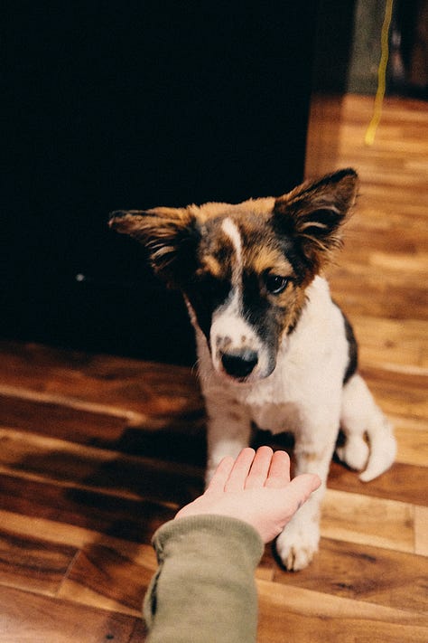 Tyler Knott Gregson Fuji photographs of life in Helena, MT