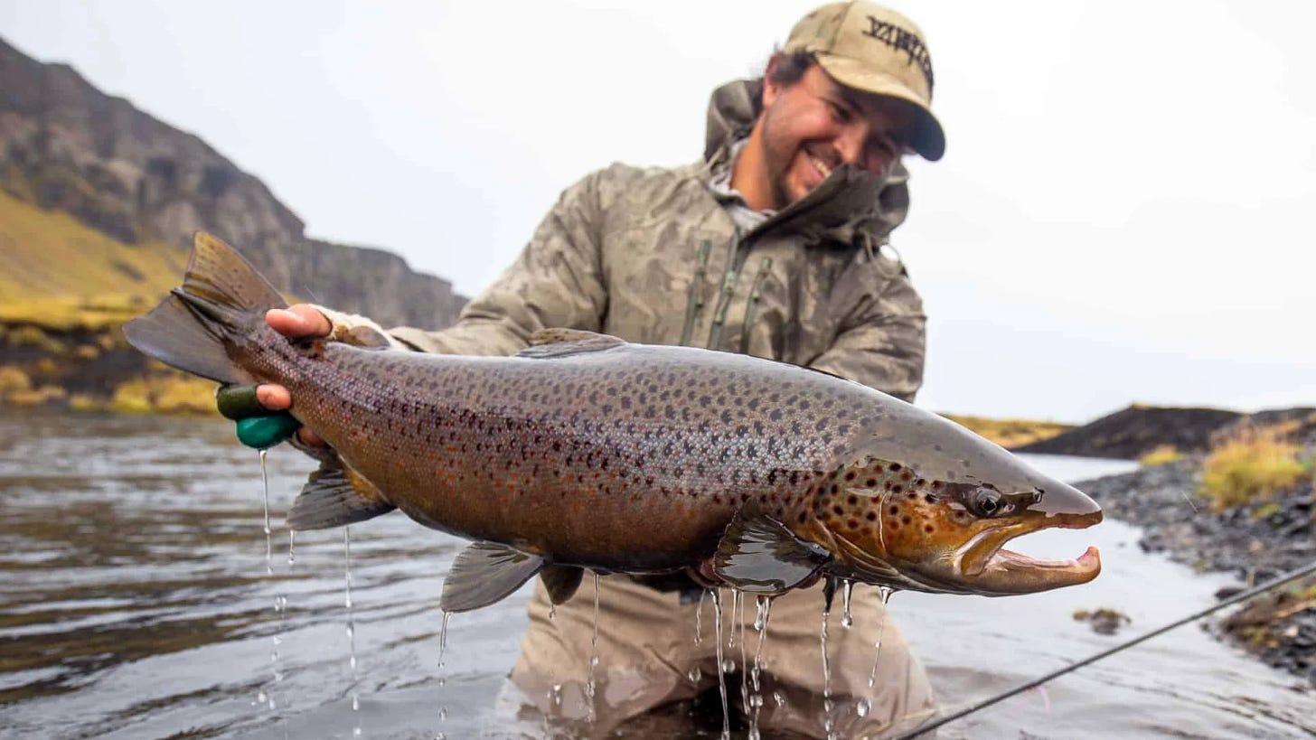 Angler Kneeling in Water with Large Brown Trout