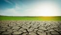 Environmental Sarcasm: Where Water Cries and Politicians Lie
