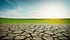Environmental Sarcasm: Where Water Cries and Politicians Lie