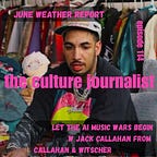 the culture journalist 