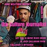 the culture journalist 