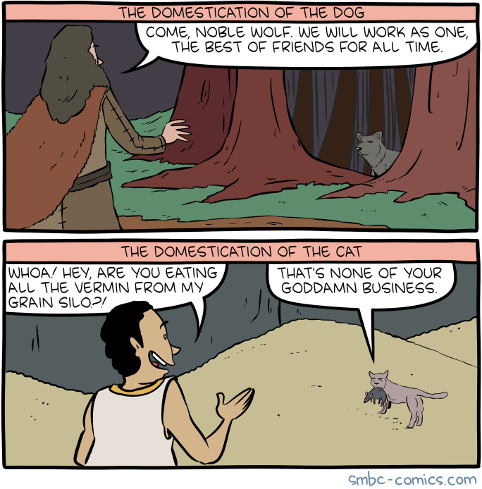 Saturday Morning Breakfast Cereal - Domestication
