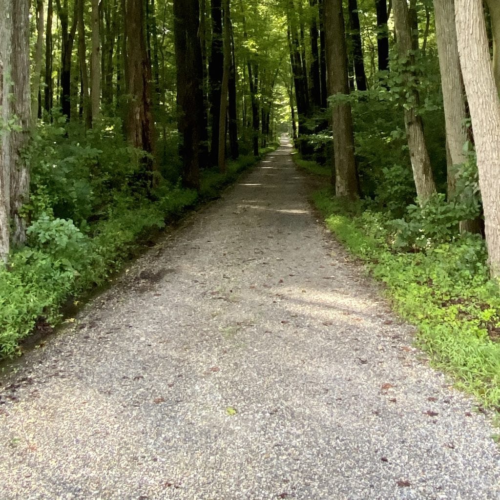 Christie and Lisa-Jo's photo for their podcast episode, a beautiful path (or lane) through the woods