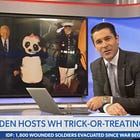 Newsmax Guy Concerned Joe Biden Might Be A Furry