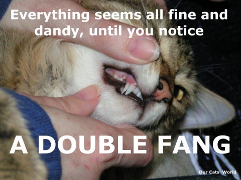 Double_Fang Double_Fang