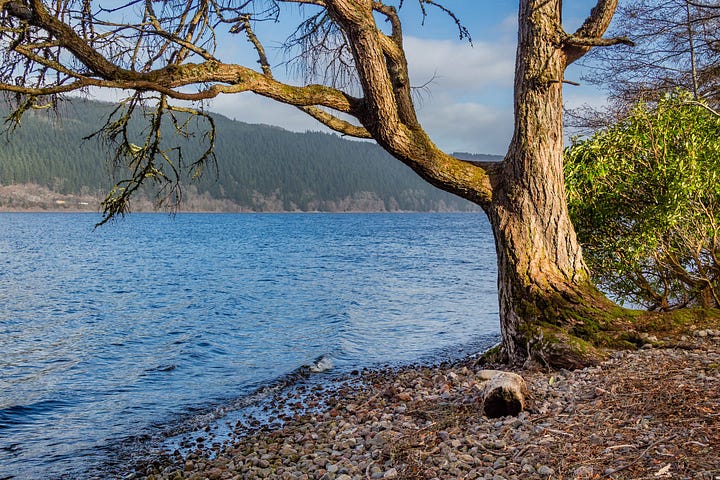 The Falls of Foyers and the shore of Loch Ness, both viewed on the Outstanding Walks Scotland route © Felicity Martin