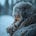 🏔️ ❄️ Silasiuqtuq(ᓯᓚᓯᐅᖅᑑᖅ) 🧊 🌒's avatar