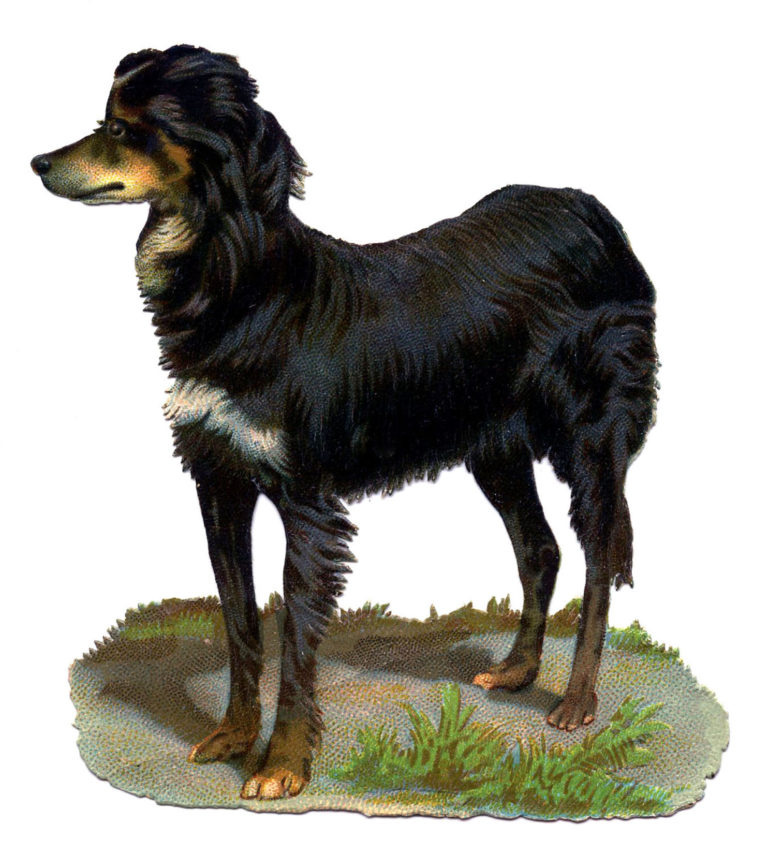 558d3e84-2c18-11eb-a3d0-06b4694bee2a%2F1609540249944-Vintage-Dog-Black-Brown-GraphicsFairy-1-768x854.jpg