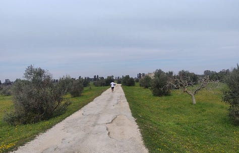 Views from the course, showing mostly wide paths and some narrower ones surrounded by grass