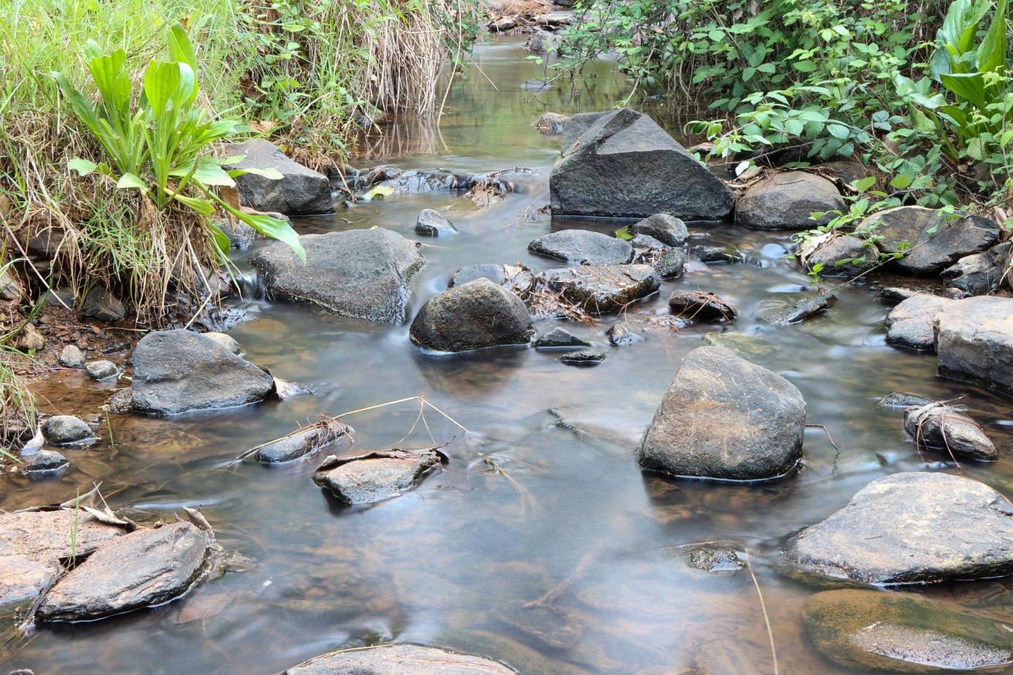 A photo of a river where the water looks silky smooth