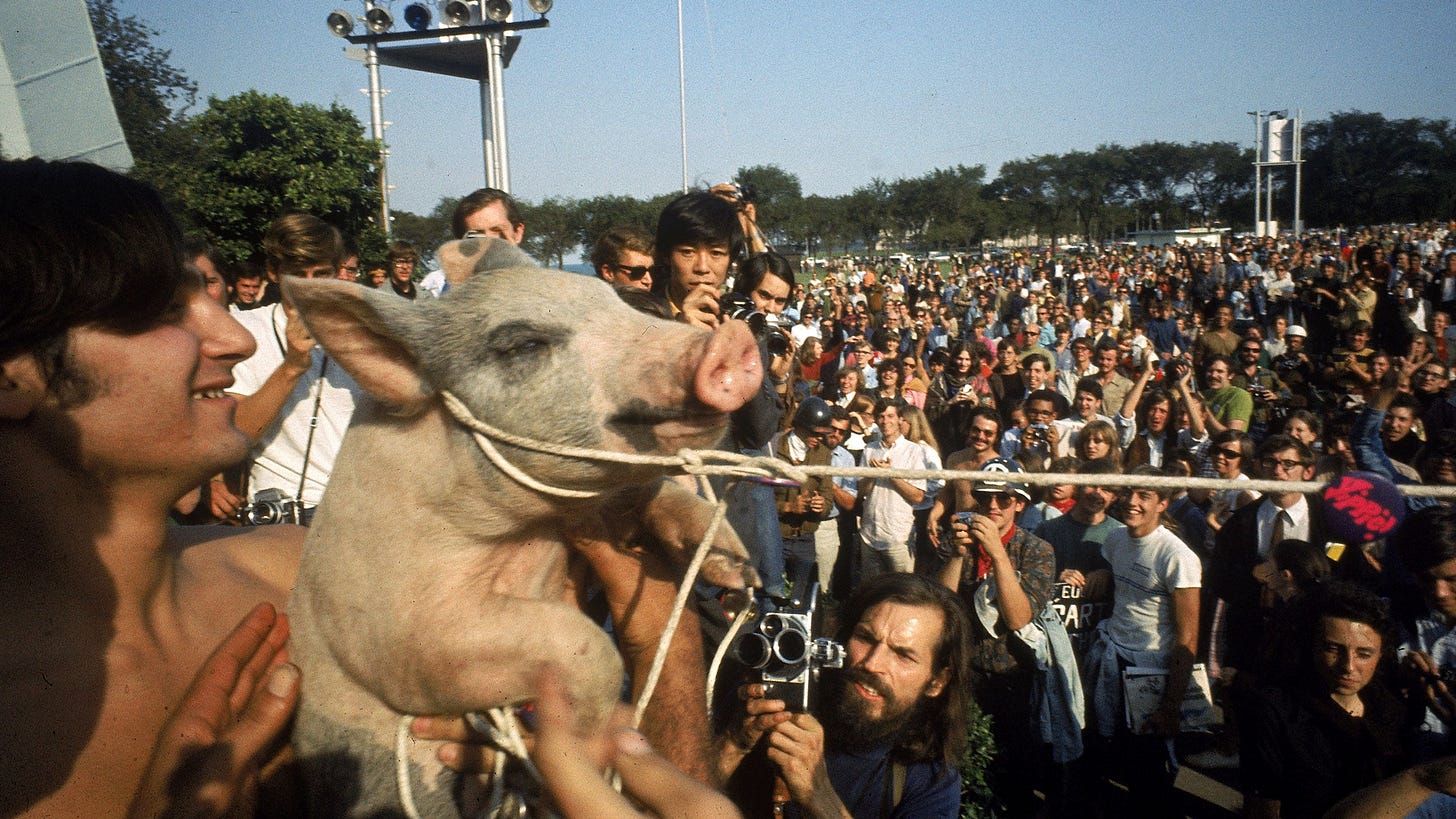 How the Yippies 'Stuck It to the Man' at the 1968 DNC | HISTORY