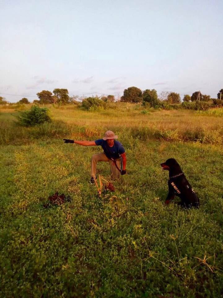 VONFIDEL K9 training session: an experienced trainer kneels professionally before a seated working dog, pointing forward as the dog stays focused. Two professional handlers stand in the background, observing. The image illustrates the principle that recognition and reward drive consistent obedience and reliable performance.